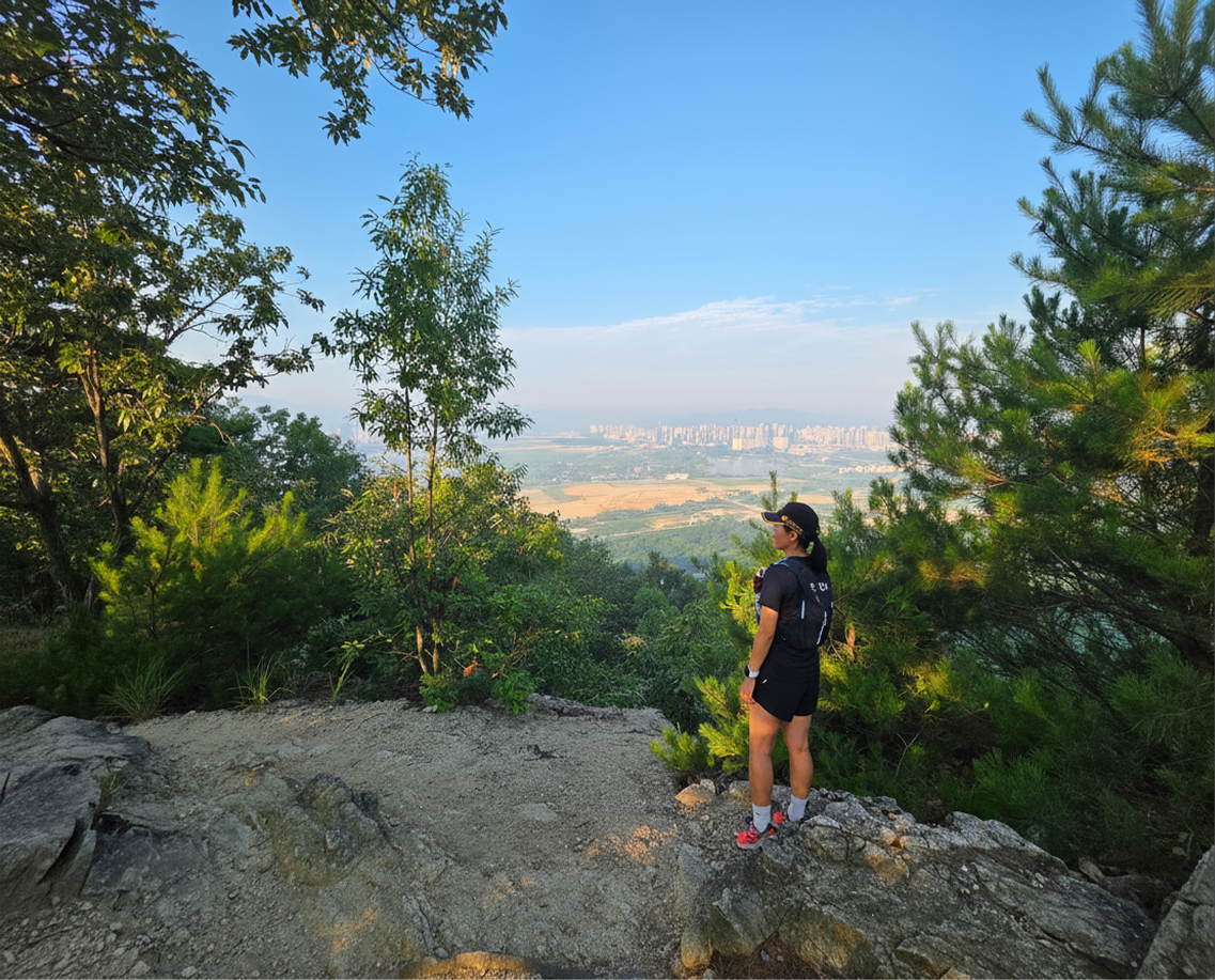 Forested hiking trail at Jeonwolsan Mountain in Sejong